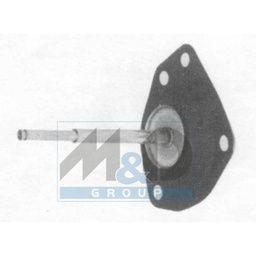 Diaphragm