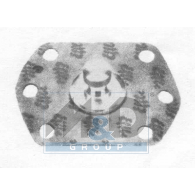 [1363E] Diaphragm