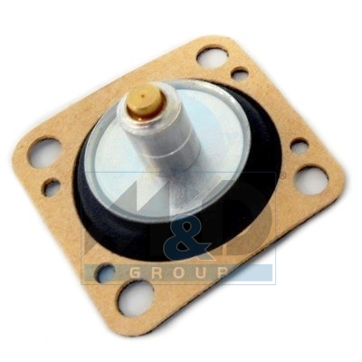 [4057E BIS] Diaphragm