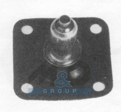 [4974E] Diaphragm