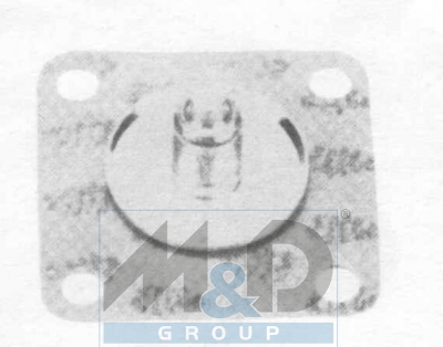 [2076E] Diaphragm