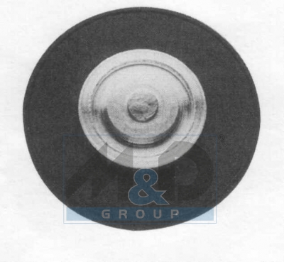 [4954E] Diaphragm