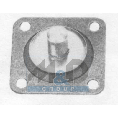 [1543E] Diaphragm