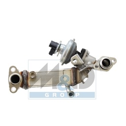 Module-EGR