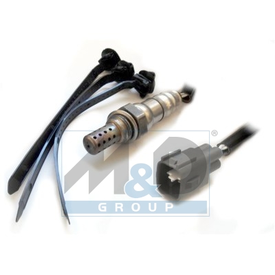 [81794] 4-wire High Impedance Oxygen Sensor
