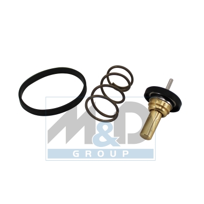 [92952] Thermostat, coolant