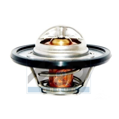 [92507] Thermostat, coolant
