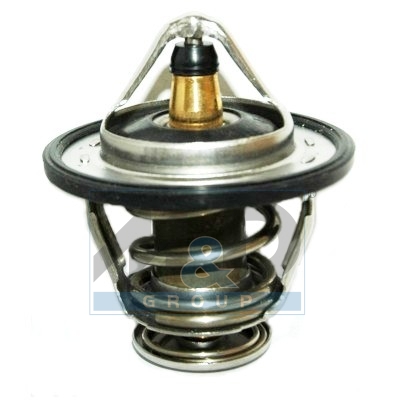 [92733] Thermostat, coolant