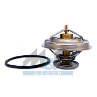 [92219] Thermostat, coolant