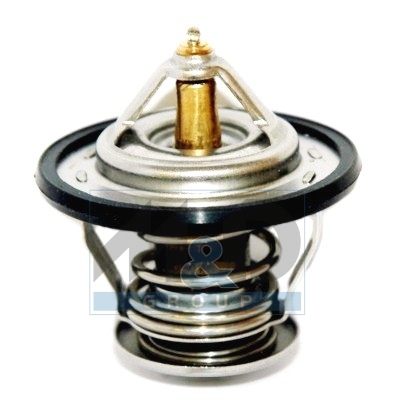 [92154] Thermostat, coolant