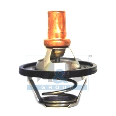 [92247] Thermostat, coolant