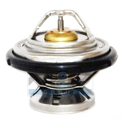 [92195] Thermostat, coolant