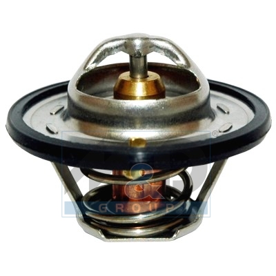 [92095] Thermostat, coolant