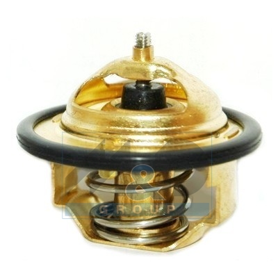 [92356] Thermostat, coolant
