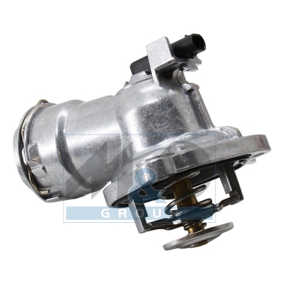 [92954] Thermostat, coolant