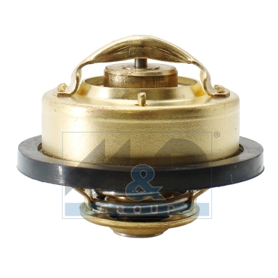 [92108] Thermostat, coolant