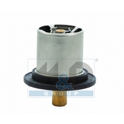 [92428] Thermostat, coolant