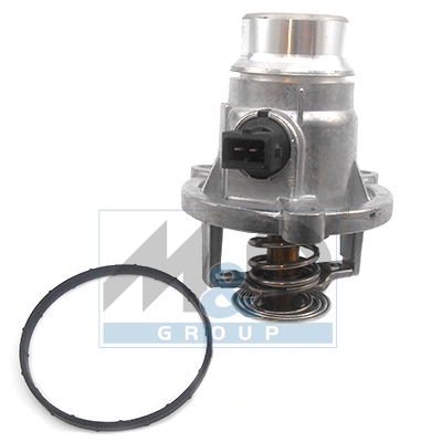 [92762] Thermostat, coolant