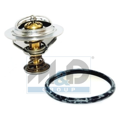 [92531] Thermostat, coolant