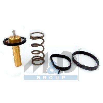 [92839] Thermostat, coolant