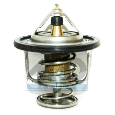 [92310] Thermostat, coolant
