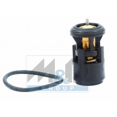[92345] Thermostat, coolant