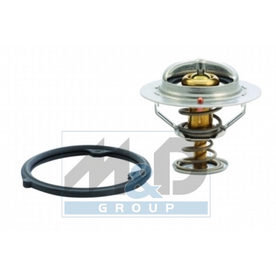[92412] Thermostat, coolant