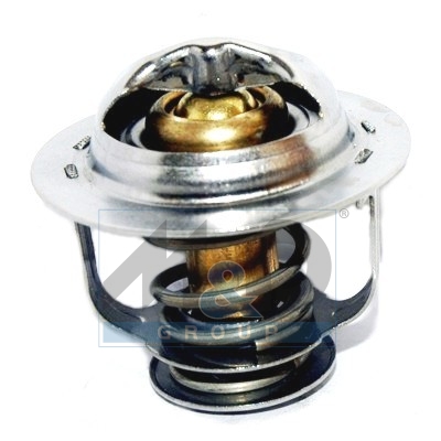 [92379] Thermostat, coolant