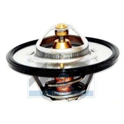 [92377] Thermostat, coolant