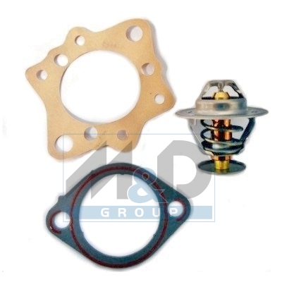 [92437] Thermostat, coolant