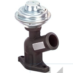 [88107] EGR Valve
