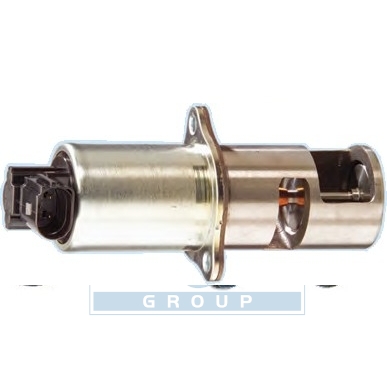 [88011R] EGR Valve
