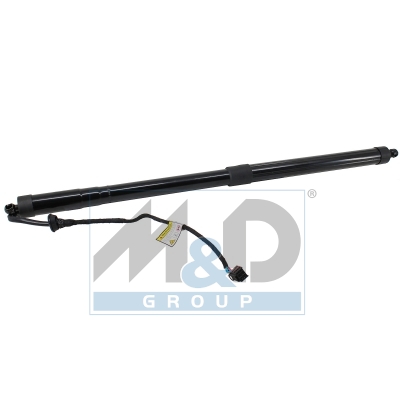 [301098] Electric tailgate lift strut