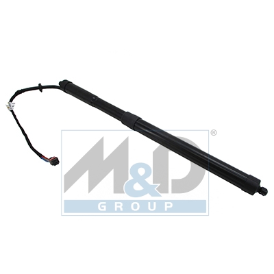 [301028] Electric tailgate lift strut