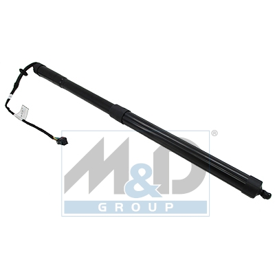 [301027] Electric tailgate lift strut