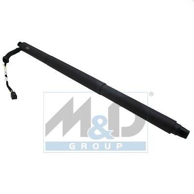 [301039] Electric tailgate lift strut