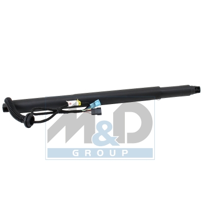 [301071] Electric tailgate lift strut