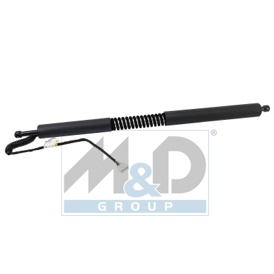 [301077] Electric tailgate lift strut