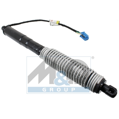 [301078] Electric tailgate lift strut