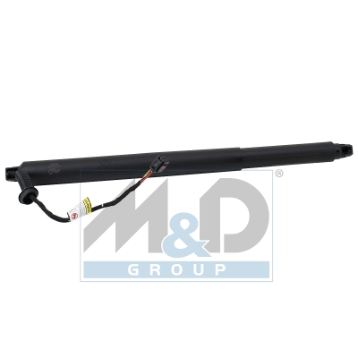 [301081] Electric tailgate lift strut