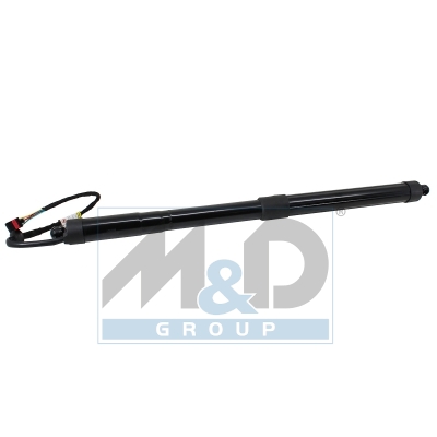 [301082] Electric tailgate lift strut