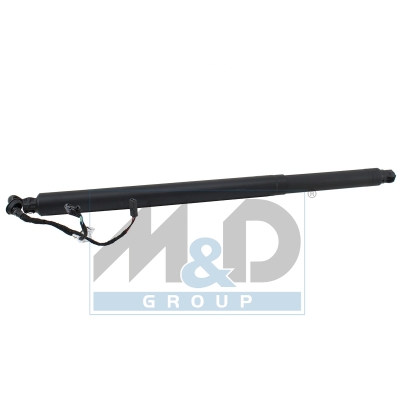 [301093] Electric tailgate lift strut