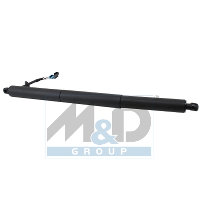 [301080] Gasfeder, Einlegeboden (Koffer-/Laderaum)