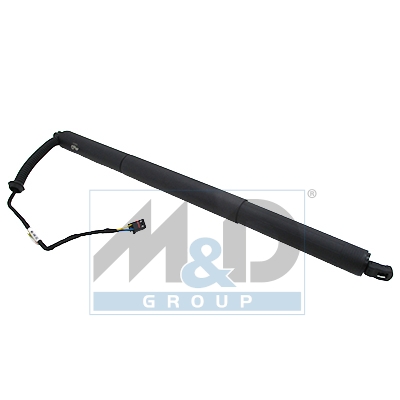 [301038] Electric tailgate lift strut