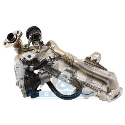 [88997R] MODULO E.G.R.