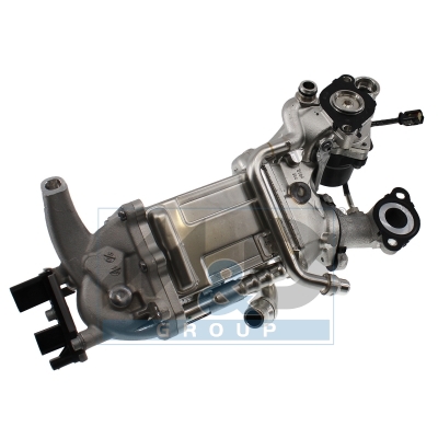 [881034] MODULO E.G.R.