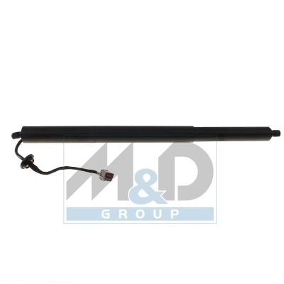 [301043] Electric tailgate lift strut