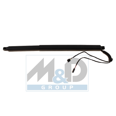 [301124] Electric tailgate lift strut