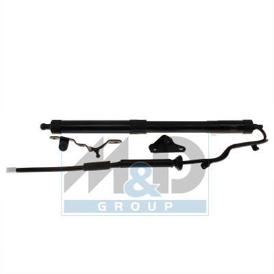 [301125] Electric tailgate lift strut