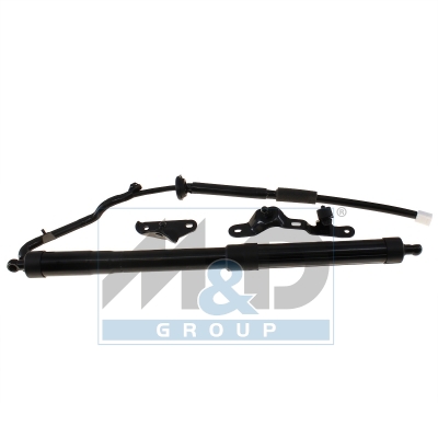 [301126] Electric tailgate lift strut